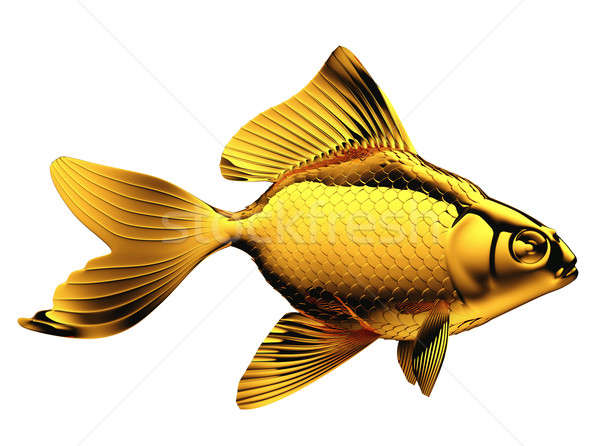 Goldfish with fins and scales isolated Stock photo © Arsgera