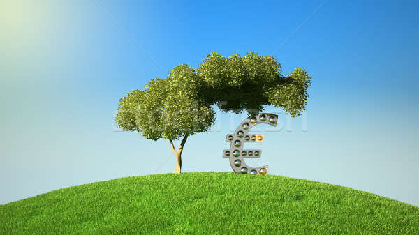 Euro symbol under tree on green fileld Stock photo © Arsgera