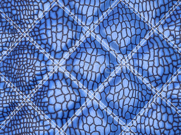 Blue Alligator skin with stitched rectangles Stock photo © Arsgera