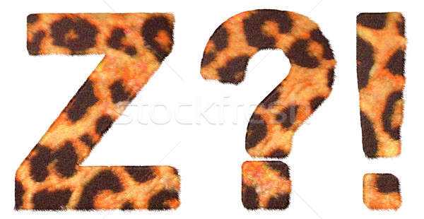 Leopard fur font Z and Wow, What symbols  Stock photo © Arsgera