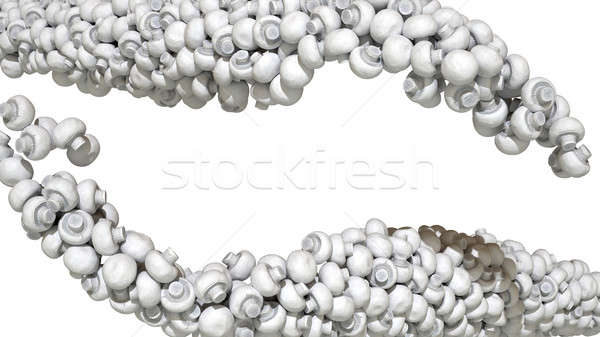 Pieczarka grzyby odizolowany biały grupy latać Zdjęcia stock © Arsgera