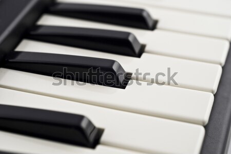 Closeup (DOF) of piano keyboard Stock photo © Arsgera