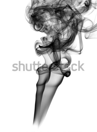 Black fume Abstract curves on white Stock photo © Arsgera