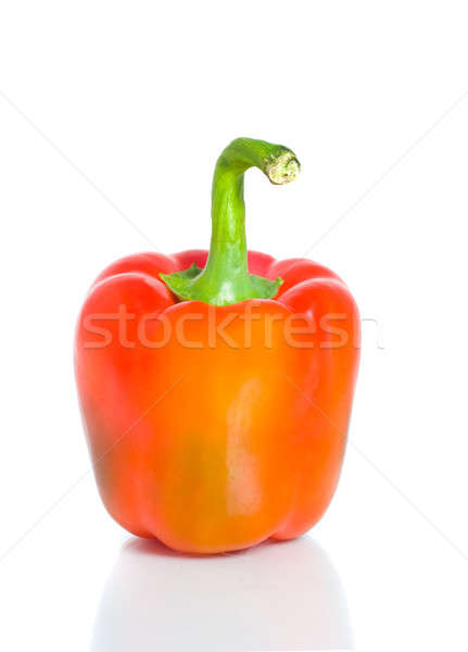 Paprika weiß grünen Farbe Anlage Stock foto © Arsgera