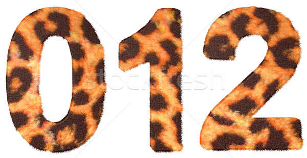 Leopard skin zero, 1 and 2 figures ioslated Stock photo © Arsgera
