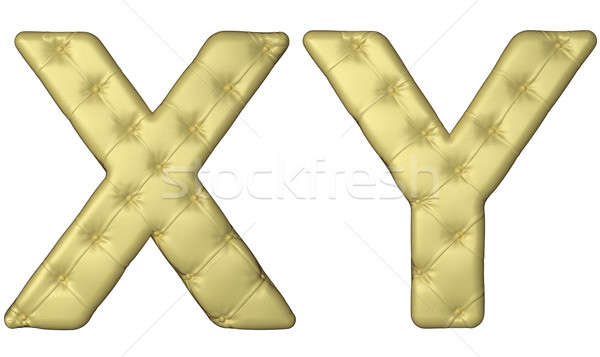 Luxury beige leather font X Y letters  Stock photo © Arsgera