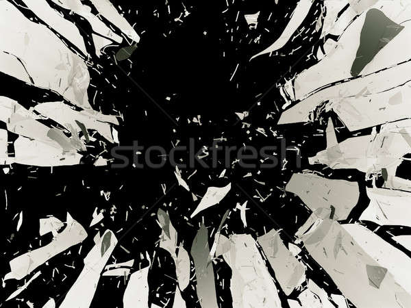 Multe piese izolat negru mare Imagine de stoc © Arsgera