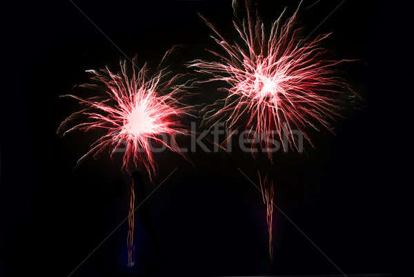 Fireworks at night in the in dark sky Stock photo © Arsgera