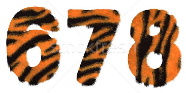 Tiger fell 6 7 and 8 figures isolated Stock photo © Arsgera
