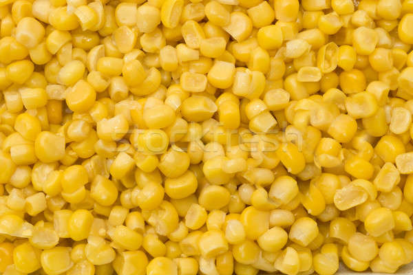 Golden sweetcorn grains Stock photo © Arsgera