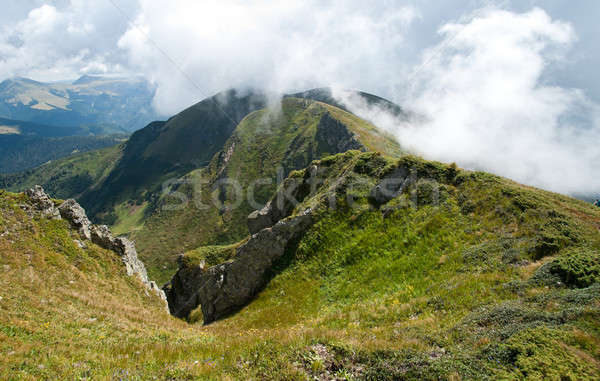 Berge Ukraine Baum Wolken Gras Landschaft Stock foto © Arsgera