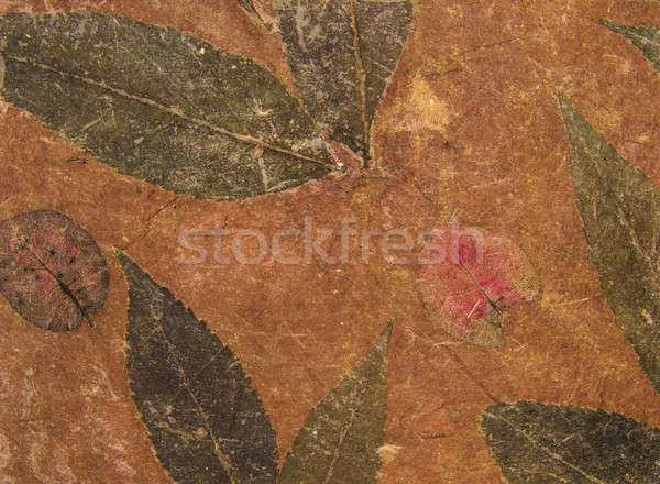 Aged handmade brown paper texture with leaves herbarium Stock photo © Arsgera