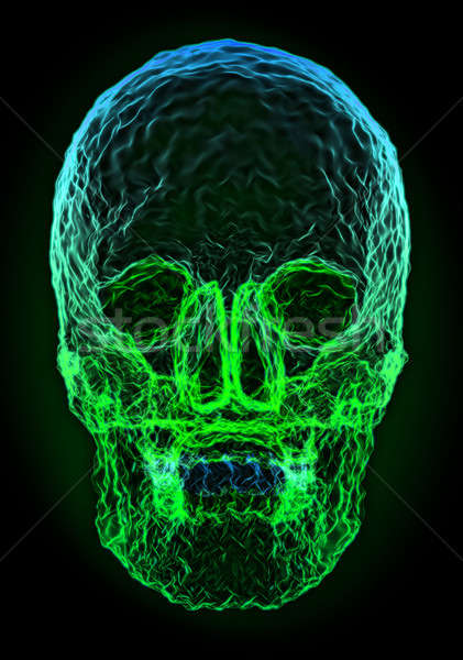 Abstract colorful skull shape Stock photo © Arsgera