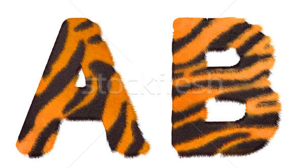Tiger fell A and B letters isolated Stock photo © Arsgera