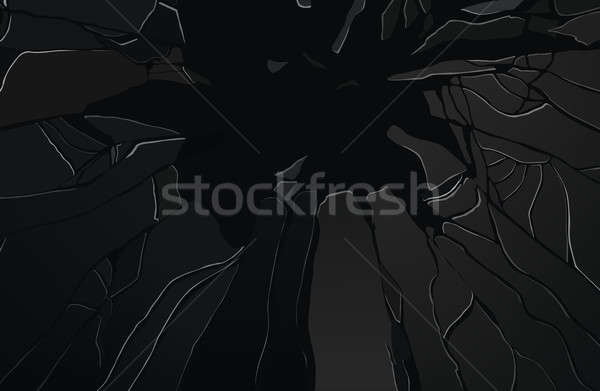 Sharp Pieces of shattered black glass Stock photo © Arsgera