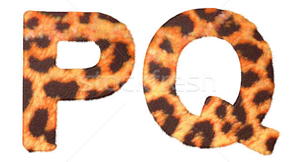 Leopard fur P and Q letters isolated Stock photo © Arsgera