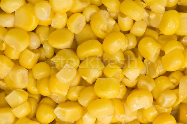 Closeup of Golden sweetcorn grains Stock photo © Arsgera