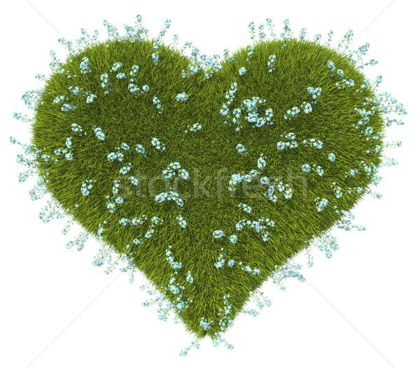 Green grass heart shape with forget-me-not flowers Stock photo © Arsgera