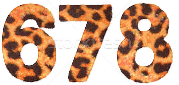 Leopard skin 6 7 and 8 figures isolated Stock photo © Arsgera
