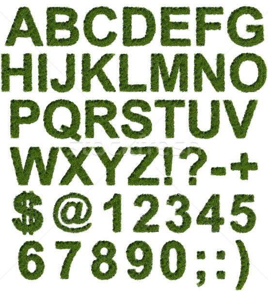 Grünen Gras Typ Set Briefe Symbole Zahlen Stock foto © Arsgera