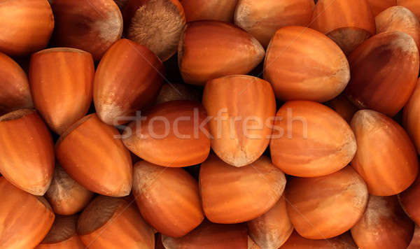 Filbert nuts texture or background Stock photo © Arsgera