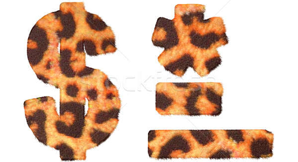 Leopard fell dollar symbol, dash, hyphen and asterisk Stock photo © Arsgera