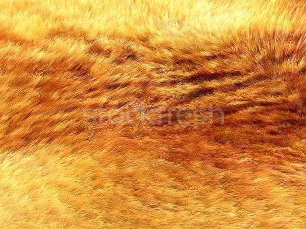 Fox fur: Yellow and brown pattern or background Stock photo © Arsgera