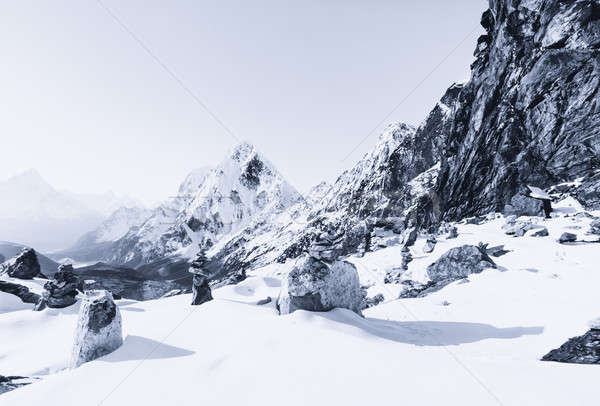 Góry pokryty śniegu przedświt la Zdjęcia stock © Arsgera