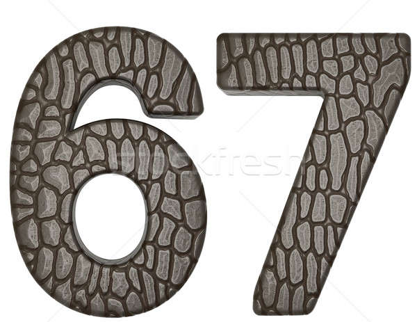 Stock photo: Alligator skin font 6 7 digits 
