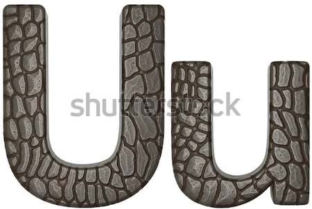 Alligator skin font J lowercase and capital letters Stock photo © Arsgera