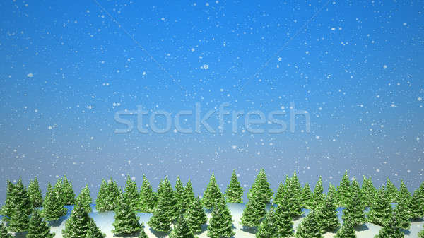 Stock photo: Firtree forest landscape during snowfall 