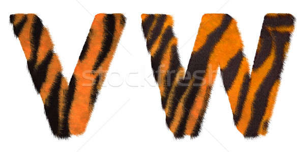 Tiger fell W and V letters isolated Stock photo © Arsgera