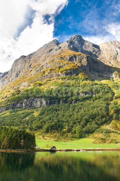 Norueguês montanhas aldeia casa nublado céu Foto stock © Arsgera