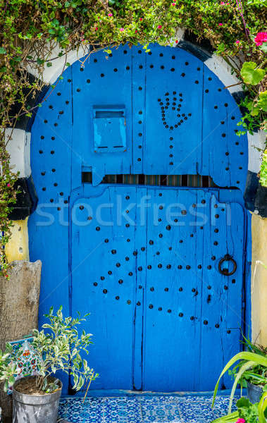 Old Blue door with arch from Sidi Bou Said  Stock photo © Arsgera