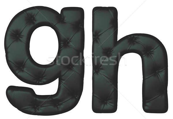 Luxury black leather font G H letters  Stock photo © Arsgera