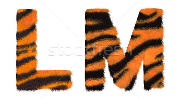 Tiger fell L and M letters isolated Stock photo © Arsgera