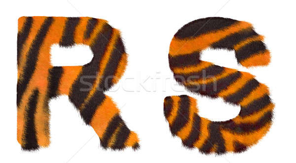 Tiger fell R and S letters isolated Stock photo © Arsgera