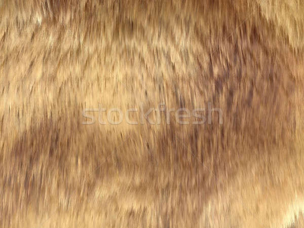 Fell: brown fox fur pattern or background Stock photo © Arsgera