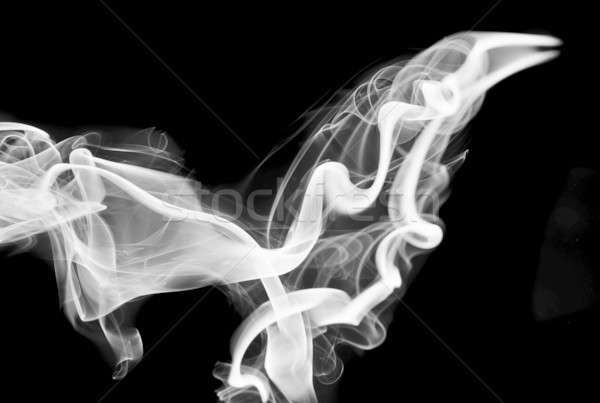 Abstraktion weiß Rauch Form Wirbel schwarz Stock foto © Arsgera