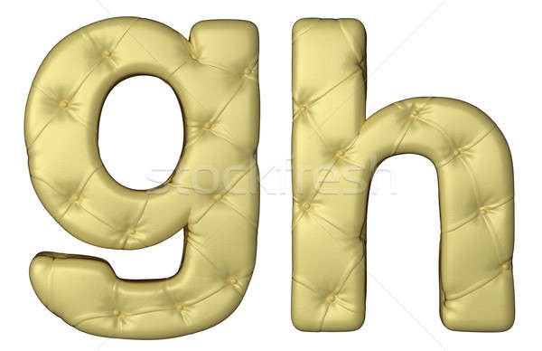 Luxury beige leather font G H letters Stock photo © Arsgera
