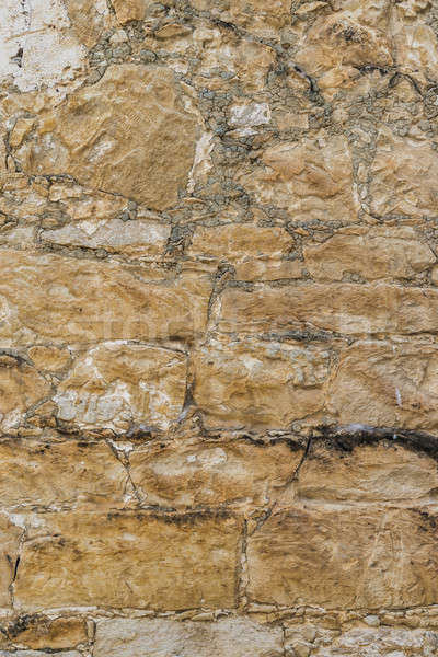 rustic shell rock Stone wall texture or background Stock photo © Arsgera