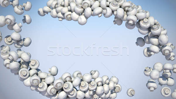 Kettő champignon gombák csoport légy szakács Stock fotó © Arsgera