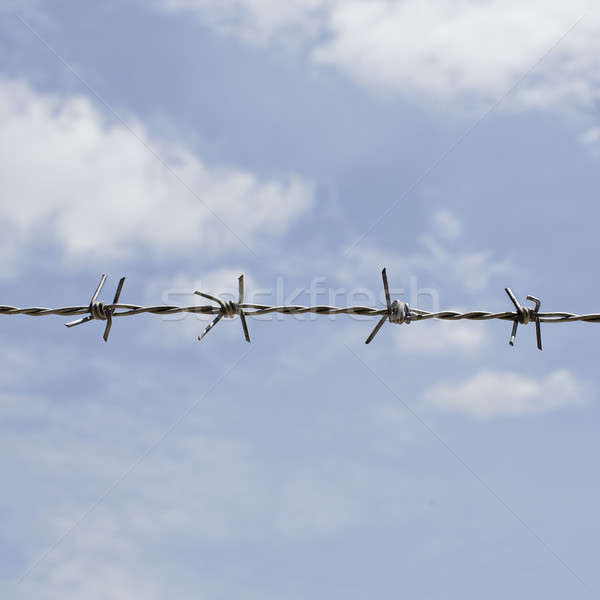 Barb wire fence with blue sky Stock photo © art9858