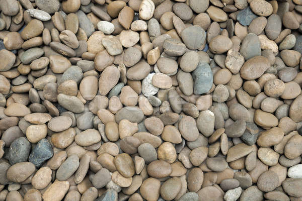 stones pebble background Stock photo © art9858