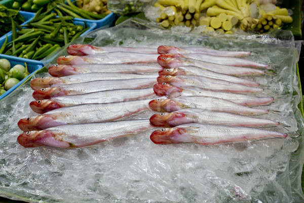 Topmouth culter,  freshwater fish on ice at market in Thailand Stock photo © art9858