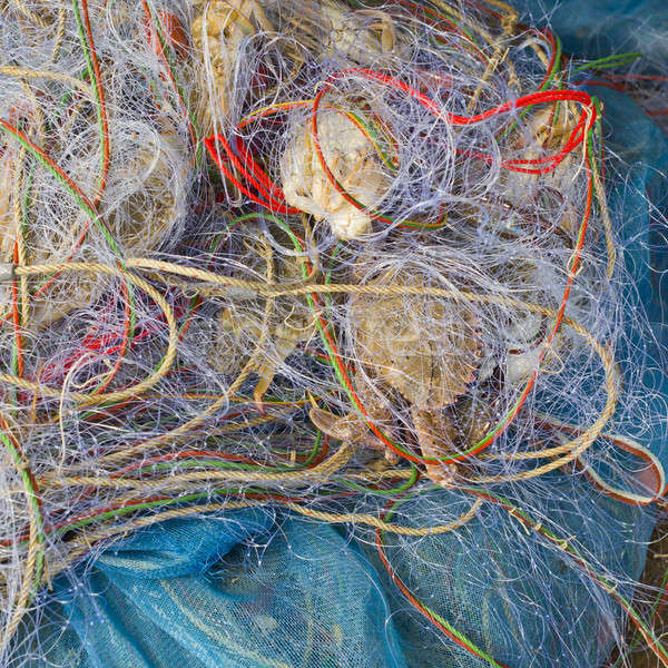 Blue crabs in fishnet Stock photo © art9858