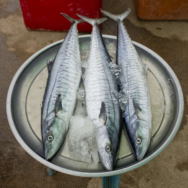 Fresh fishes at the fish market Stock photo © art9858