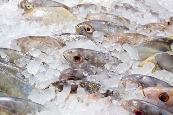 Fresh fishes on ice at the fish market Stock photo © art9858