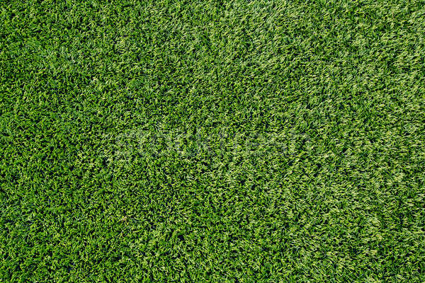 Grünen Gras Textur Gras abstrakten Natur Blatt Stock foto © art9858