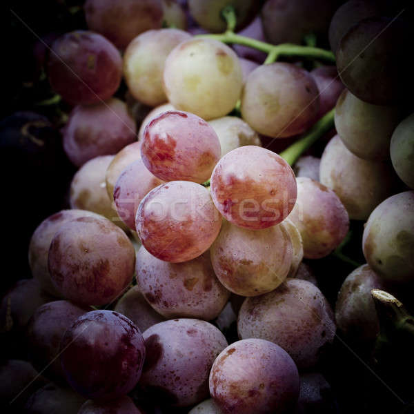 red grape Stock photo © art9858